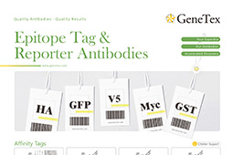 Epitope Tags and Reporters